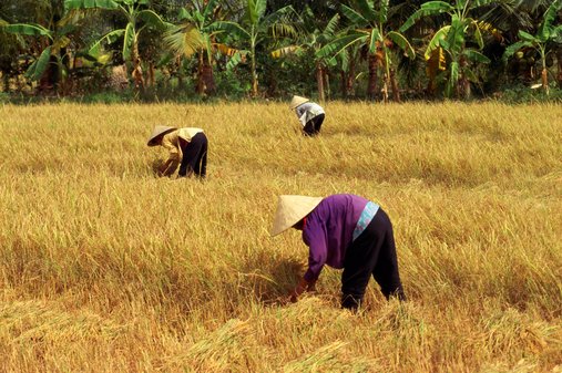 Đồng bằng sông Cửu Long: 8.186ha cụm công nghiệp không có nhà đầu tư